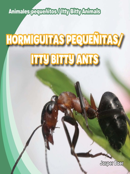 Title details for Hormiguitas pequeñitas / Itty Bitty Ants by Jasper Baer - Available